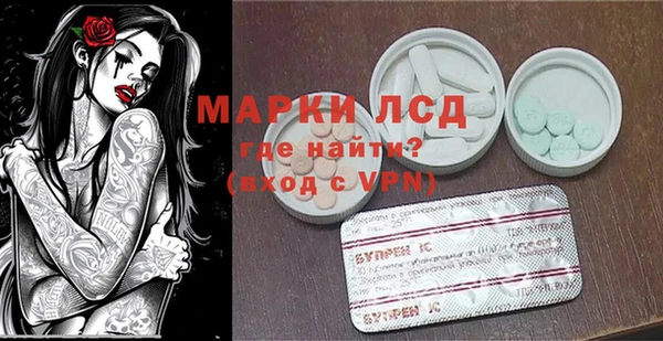 spice Богородицк
