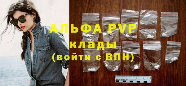 spice Богородицк