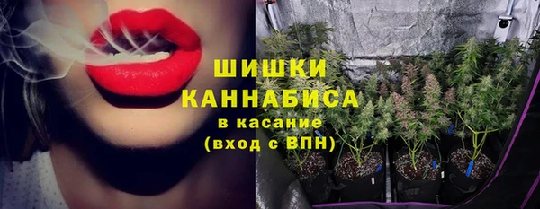 экстази Богородск