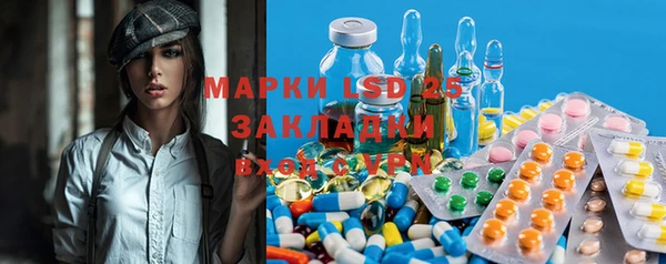 spice Богородицк