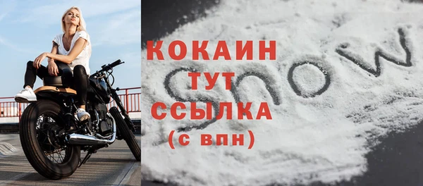 spice Богородицк
