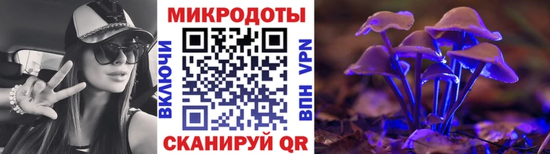 хочу наркоту  Болотное  Галлюциногенные грибы Magic Shrooms 